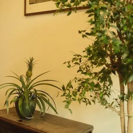 Spacious In Center Apartment Ljubljana