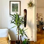 Spacious In Center Appartement
