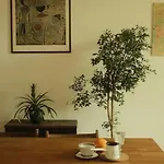 Spacious In Center Appartement *