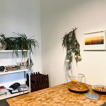 Spacious In Center Apartamento