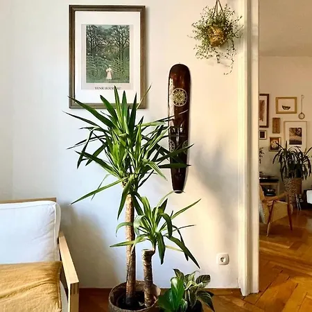Spacious In Center Appartement