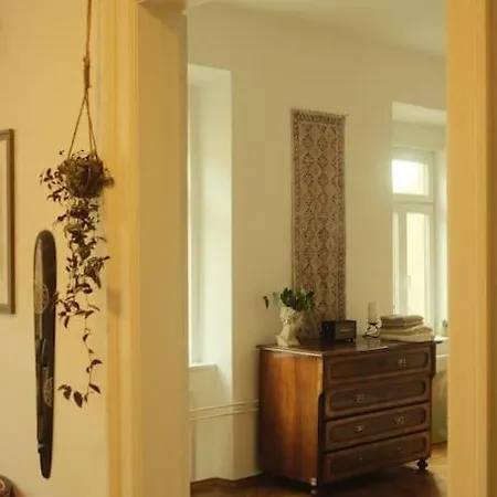 Appartement Spacious In Center *
