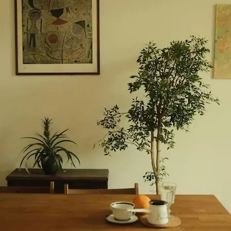 Spacious In Center Appartement *